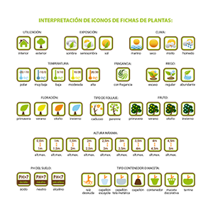 Diseño de iconos para fichas de plantas de Gardenmania